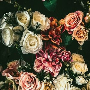 Meet your Posher, Kelsey